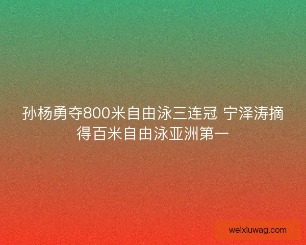 孙杨勇夺800米自由泳三连冠 宁泽涛摘得百米自由泳亚洲第一